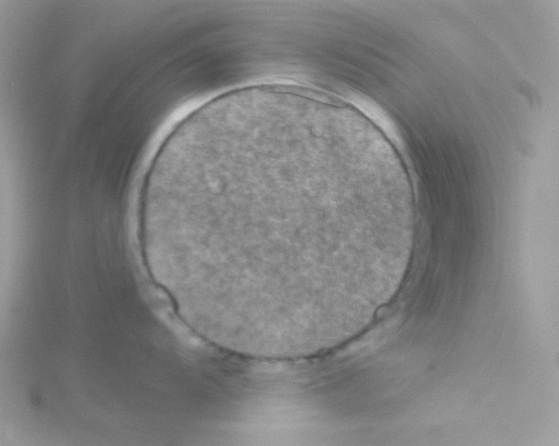 X0000114391104200911271453