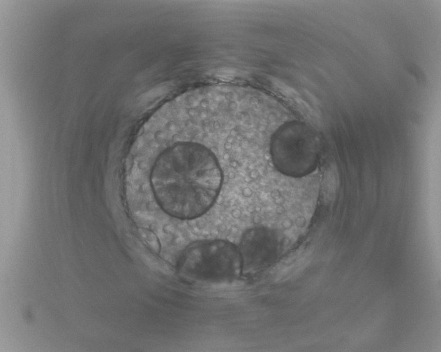 X0000114391105200911271453