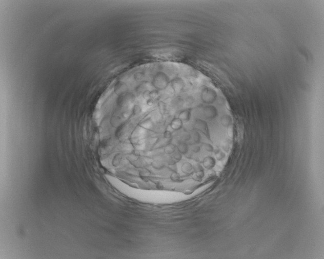 X0000114391106200911271453