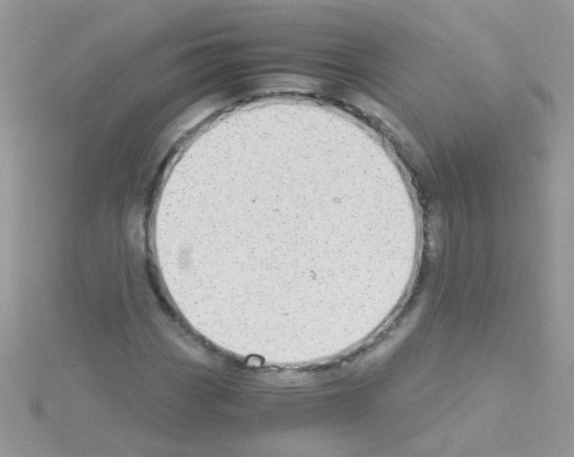 X0000114391113200911271453