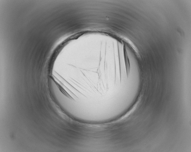 X0000114391114200911271453