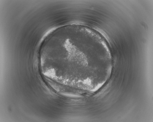 X0000114391115200911271453