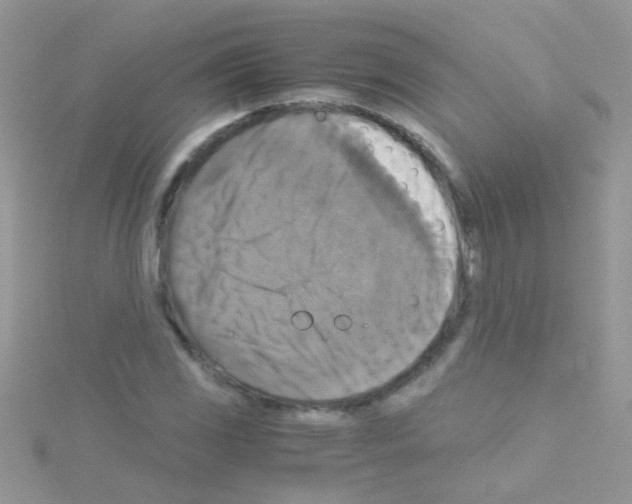 X0000114391117200911271453