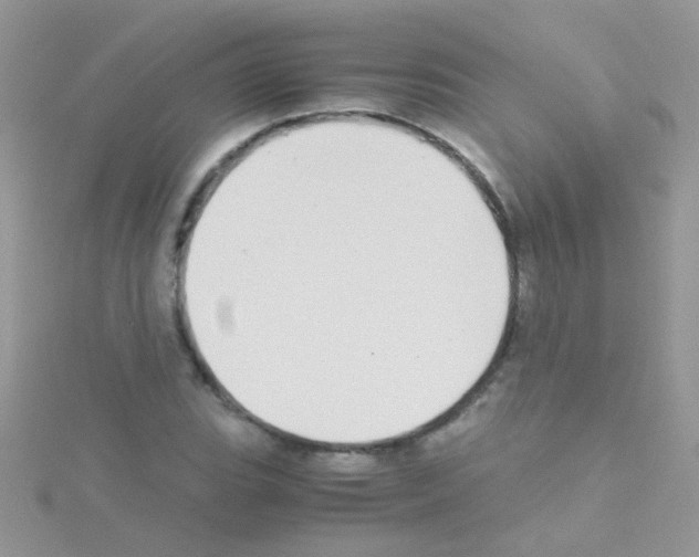 X0000114391119200911271453