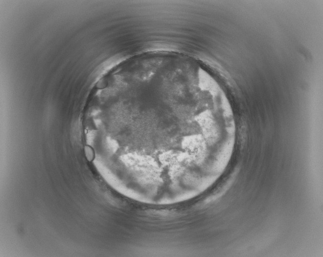 X0000114391121200911271453