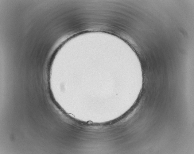 X0000114391122200911271453