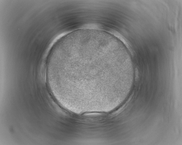 X0000114391123200911271453