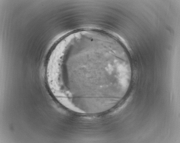 X0000114391125200911271453