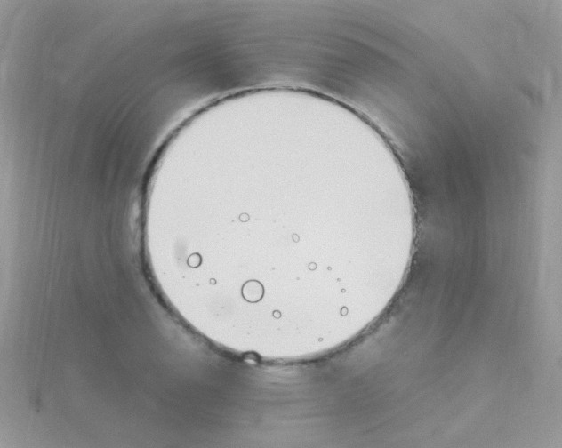 X0000114391126200911271453