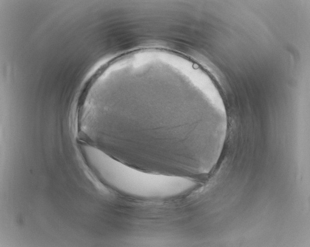 X0000114391127200911271453