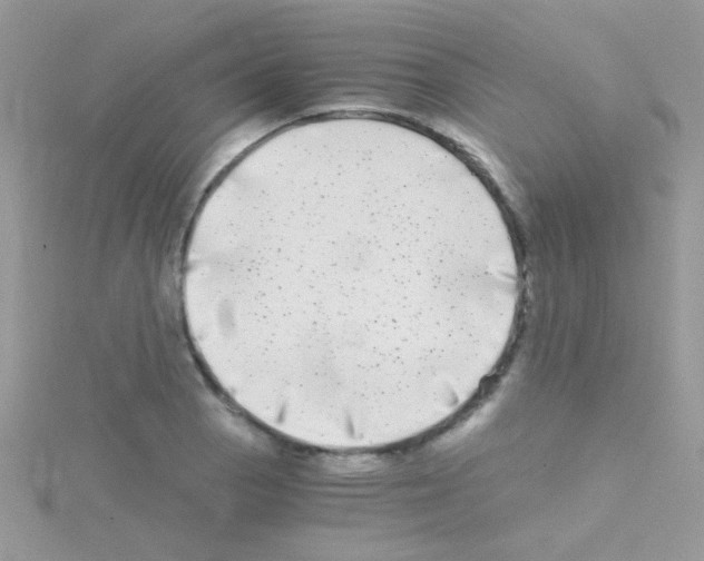 X0000114391129200911271453