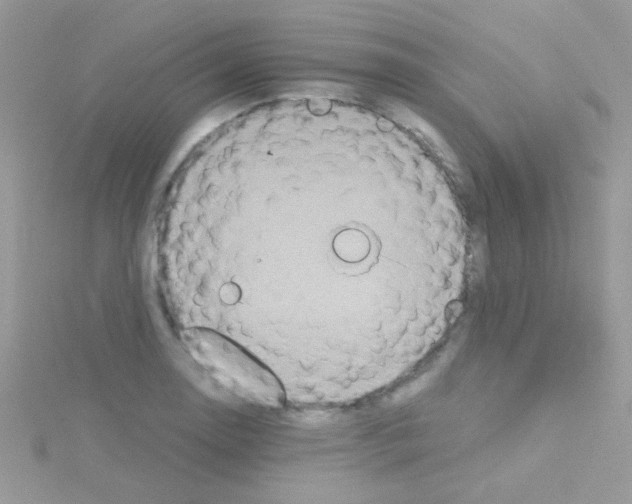 X0000114391130200911271453