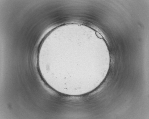 X0000114391131200911271453