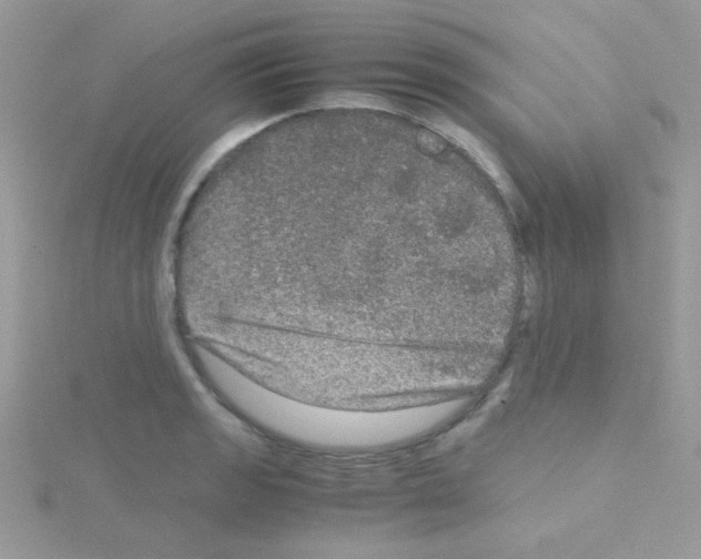 X0000114391133200911271453