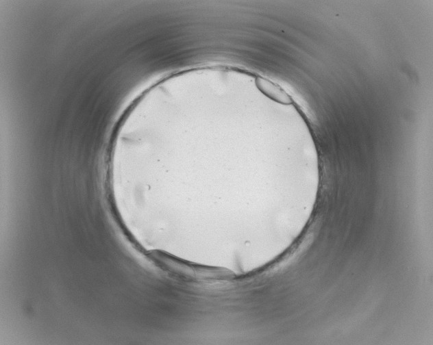 X0000114391134200911271453