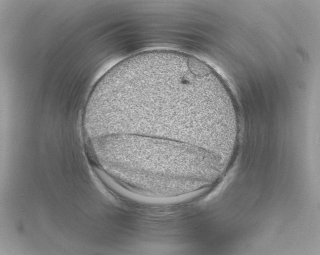 X0000114391137200911271453