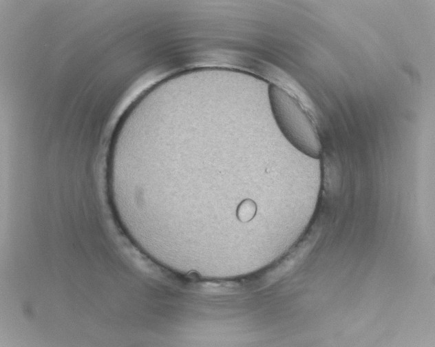 X0000114391138200911271453