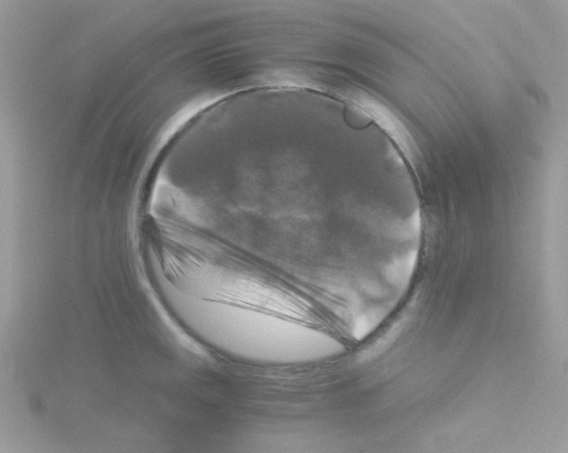 X0000114391141200911271453