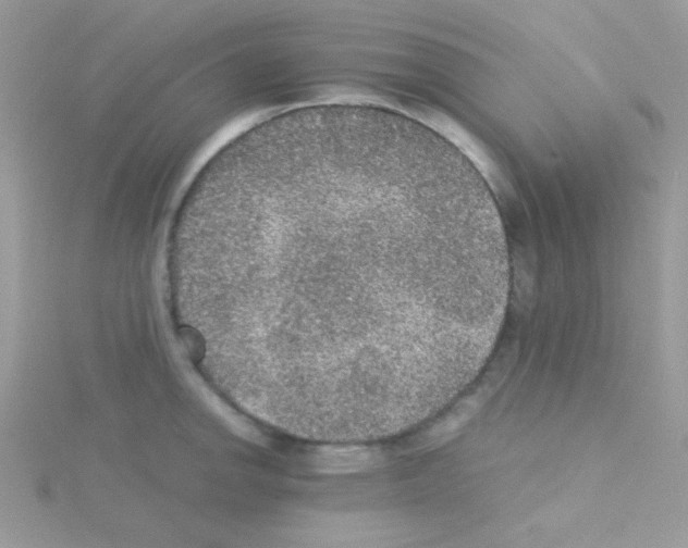 X0000114391142200911271453