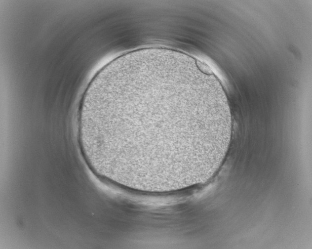 X0000114391143200911271453