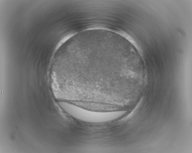 X0000114391145200911271453