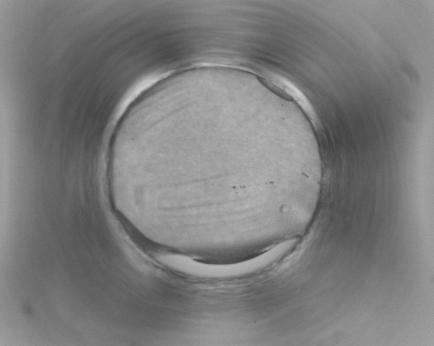 X0000114391146200911271453