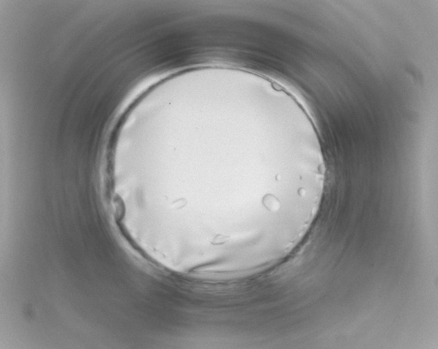 X0000114391147200911271453