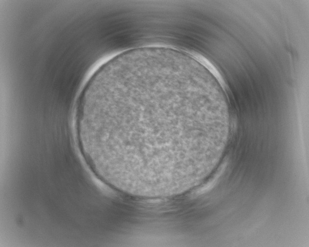 X0000114391149200911271453