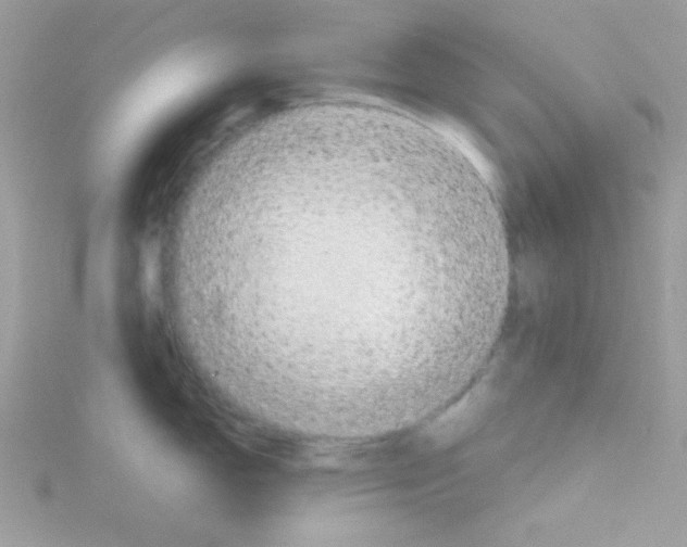 X0000114391150200911271453