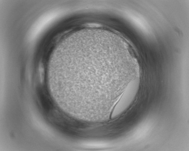 X0000114391151200911271453