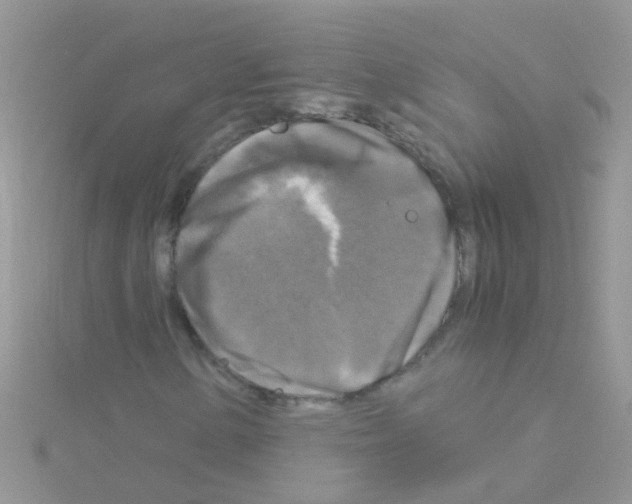 X0000114391154200911271452