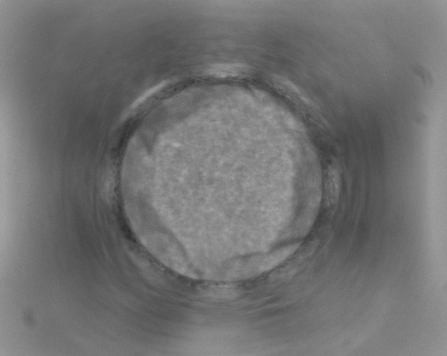 X0000114391158200911271452