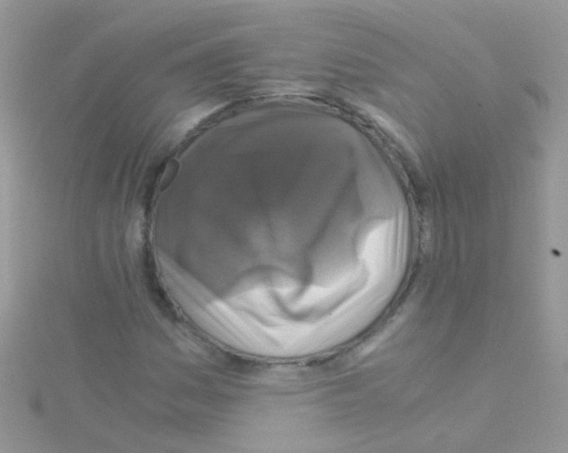 X0000114391161200911271452