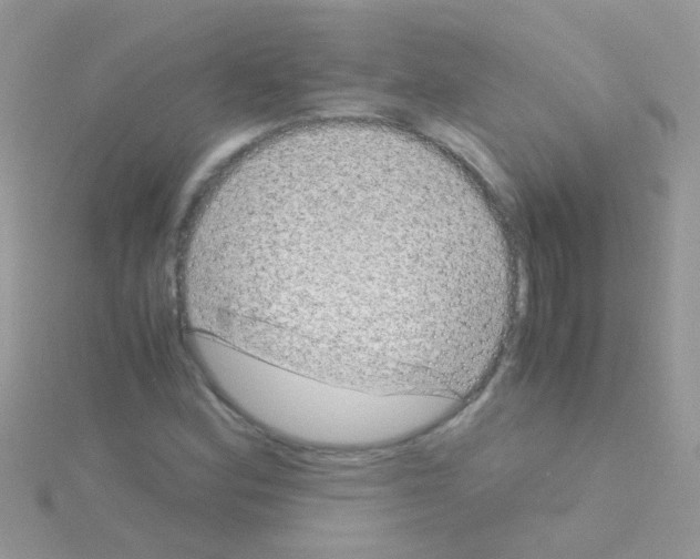 X0000114391164200911271452