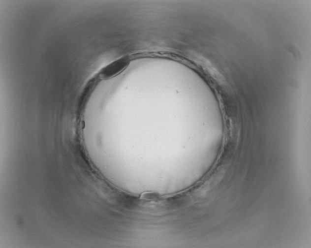 X0000114391165200911271452