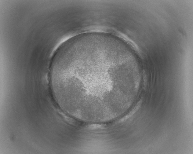 X0000114391166200911271452