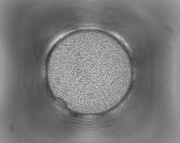 X0000114391167200911271452