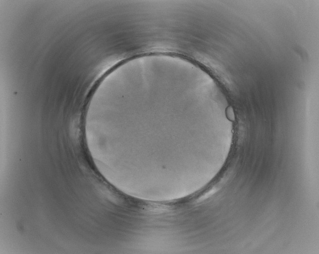 X0000114391170200911271452