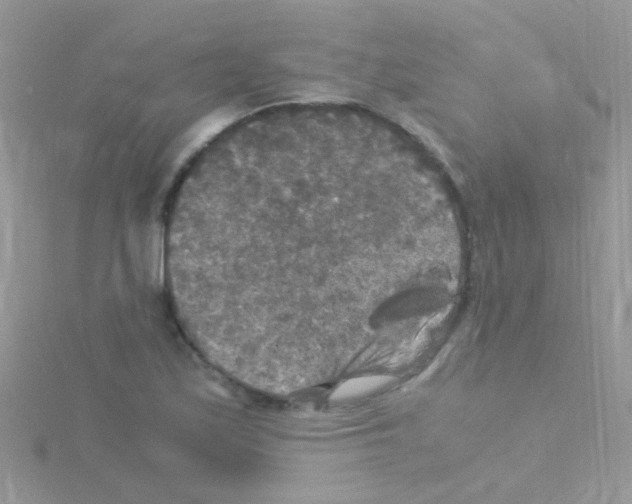 X0000114391171200911271452