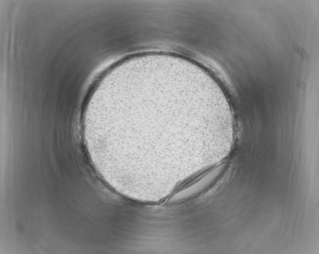 X0000114391172200911271452