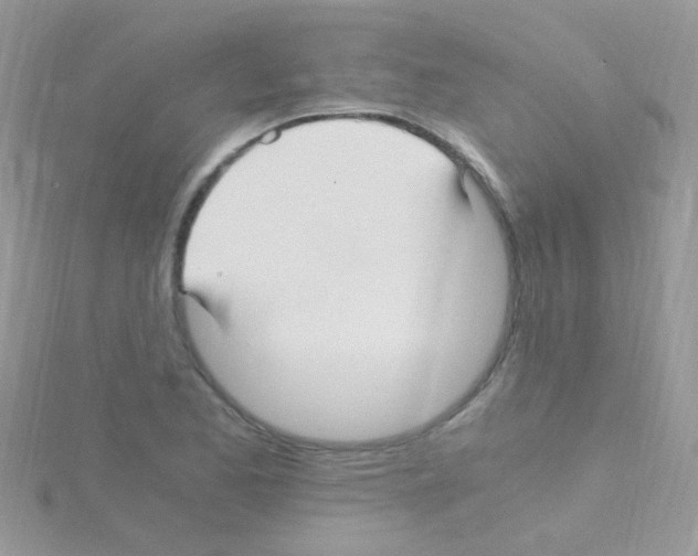 X0000114391173200911271452