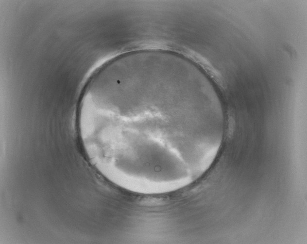 X0000114391174200911271452