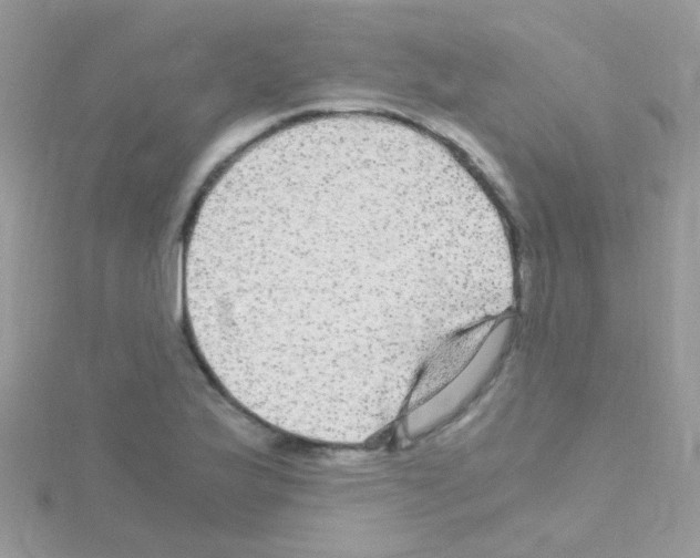 X0000114391175200911271452