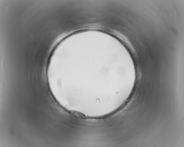 X0000114391176200911271452