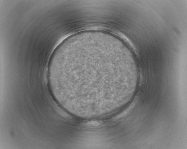 X0000114391178200911271452