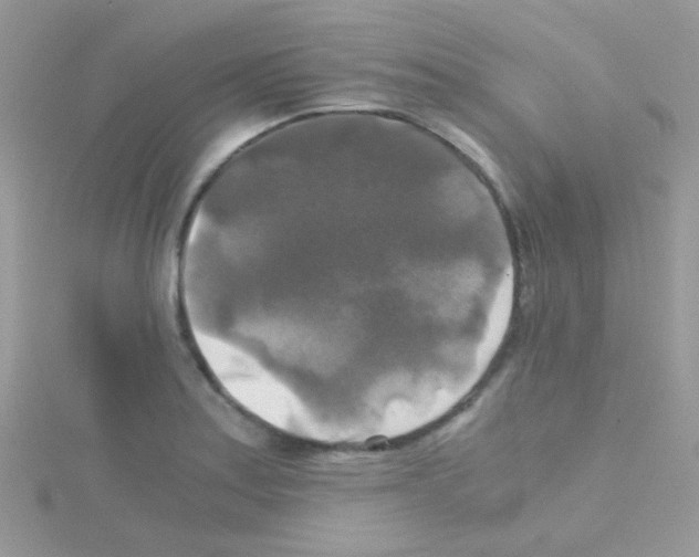 X0000114391179200911271452