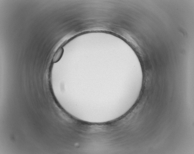 X0000114391181200911271452