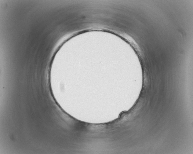 X0000114391183200911271452