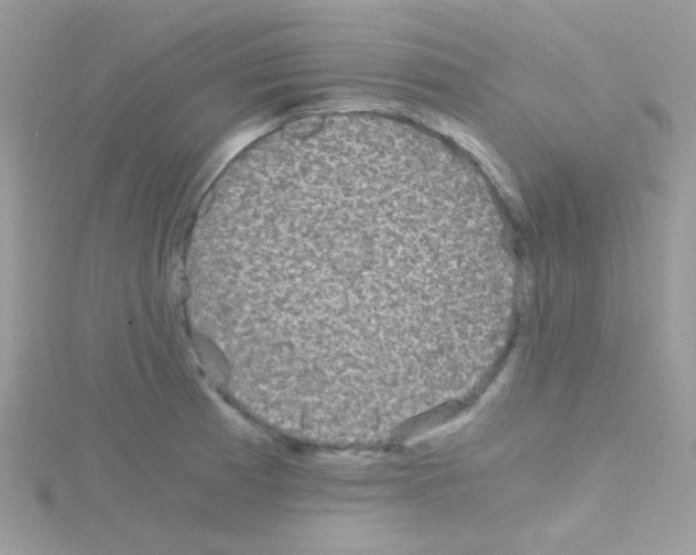 X0000114391185200911271452