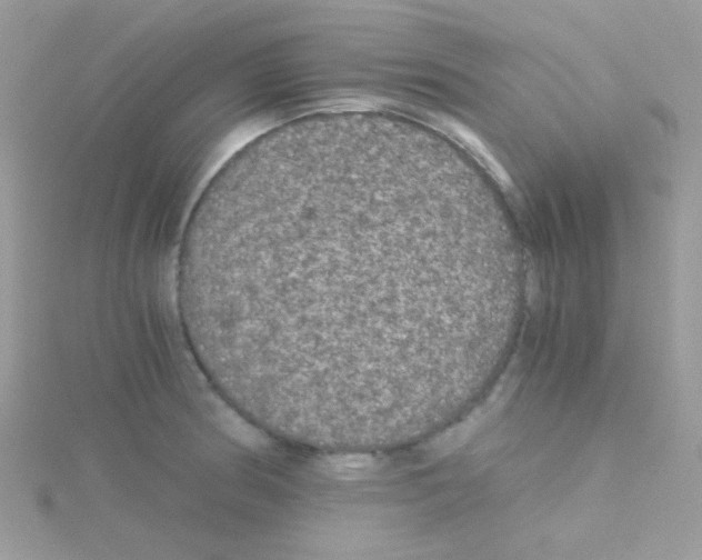 X0000114391186200911271452